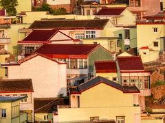 -枸杞岛