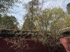 -昆明市金殿名胜区