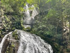 -藏龙百瀑风景区