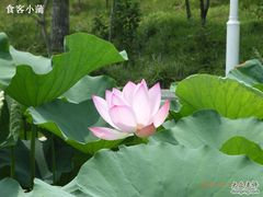 -济南国际园博园