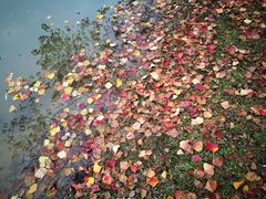 -白塘生态植物园