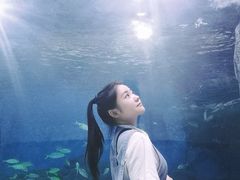 -苏州海洋馆