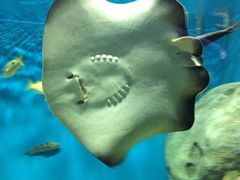 -福州罗源湾海洋世界旅游区