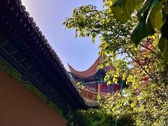 -戏马台景区
