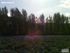 -紫海香堤香草艺术庄园