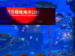 -海合安武汉极地海洋公园