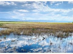 -野鸭湖国家湿地公园