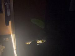 -鹤祥宫影院足道SPA连锁(吉大万国汇钰海店)
