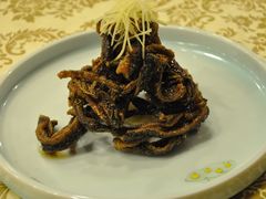 -中国饭店-餐厅