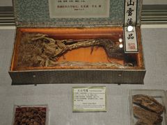 -北京中医药大学-中医药博物馆