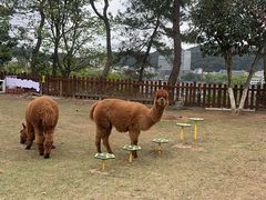 -杭州千岛湖开元度假村