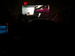 -枫花园汽车电影院(朝阳公园店)