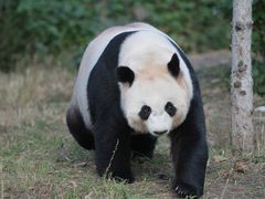-大青山野生动物园