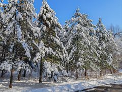 -长春市南湖公园