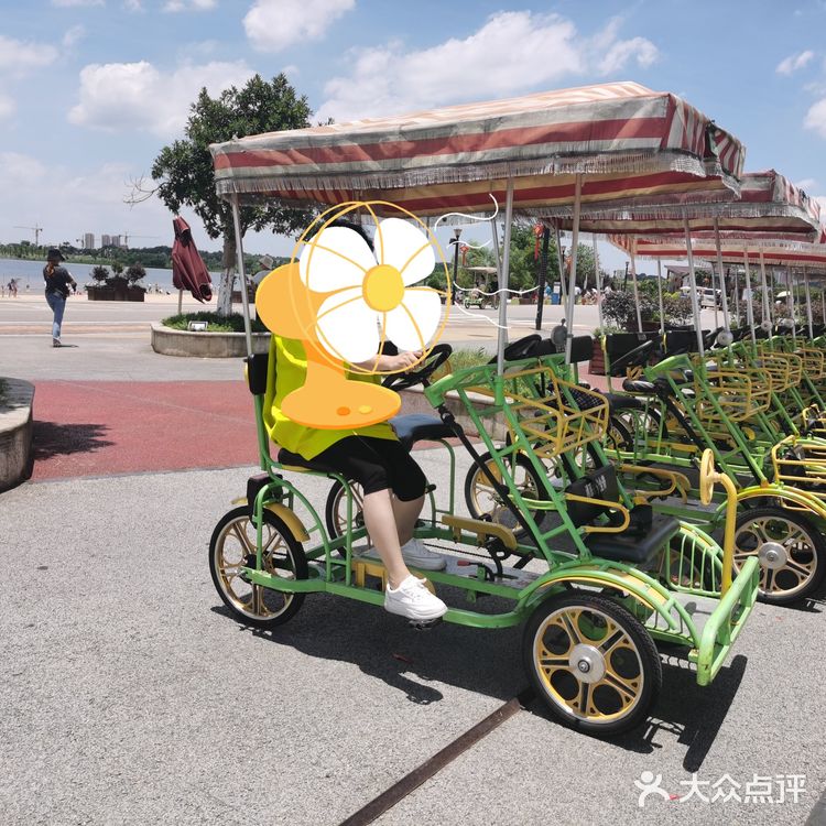 骑脚踏车🚲逛逛逛