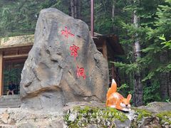 -茅兰沟国家森林公园