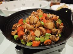 邻家口蘑爆扇贝-旺顺阁·北京菜(北辰上品+)