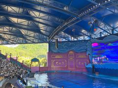 -横店影视城梦幻谷园区