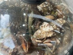 -仙螺岛海鲜自助餐厅(总店)