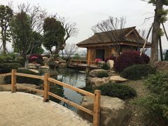 -秀丽东方