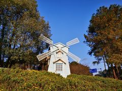 -铁山坪森林公园