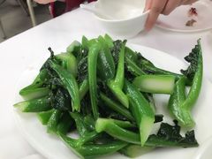 -新陶陶酒家