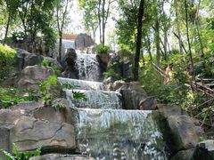 -广州市流溪河国家森林公园