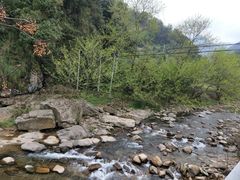 -衢州大荫山丛林飞越探险乐园