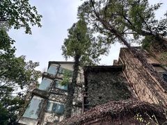-观澜山水田园
