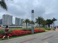 -野狸岛