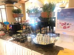 -圣爵菲斯大酒店(长沙世界之窗店)