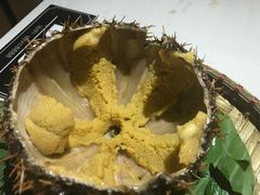 -越海渔村