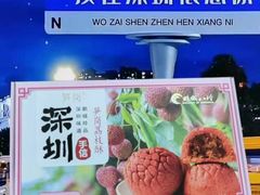 -鹏城八珍深圳特产手信(罗湖店)