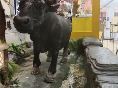 -九田家黑牛烤肉料理(潍坊青州市泰华城店)