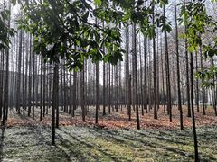 -河南省黄河迎宾馆