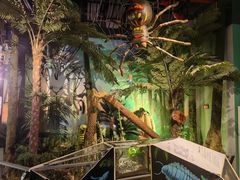 -正佳自然科学博物馆