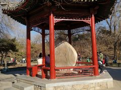 -元大都城垣遗址公园