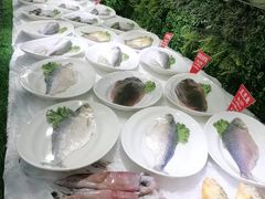 -宝燕海鲜(好爱店)