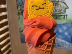 -麦当劳(农光里店)