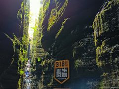 -梭布垭石林景区