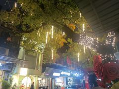 -溪岸路花鸟市场