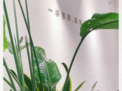 -喜茶(佛山岭南站店)