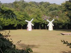 -南宁良凤江国家森林公园