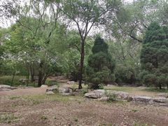 -廊坊市自然公园