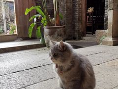 -老屋咖啡