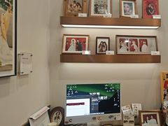 -海马体照相馆丨大师(青岛万象城店)