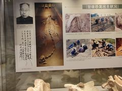 -北京周口店北京人遗址博物馆