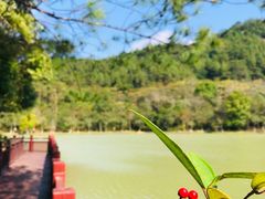 -广州白江湖森林公园