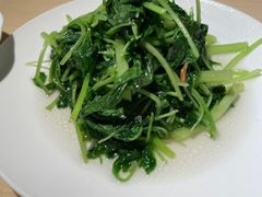 清炒豌豆尖-鼎泰丰(当代商城店)