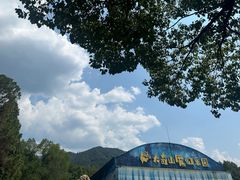 -大奇山国家森林公园